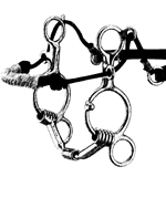 Myler Combination bit