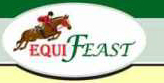 Equifeast logo