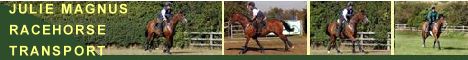 Julie Magnus Transport