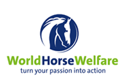 worldhorsewelfare
