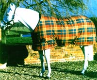 mark todd stable rug